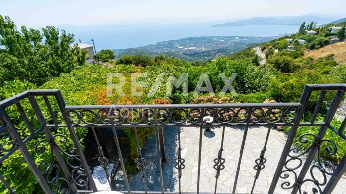 Image No.29-Propriété de 3 chambres à vendre à Magnésie