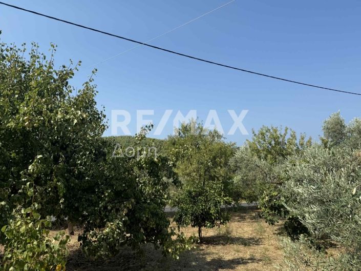 Image No.34-Maisonette de 3 chambres à vendre à Ditropo