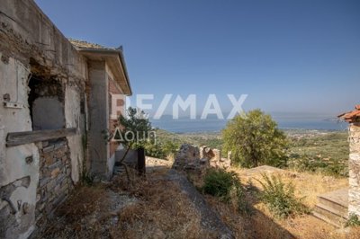 19309-120605235