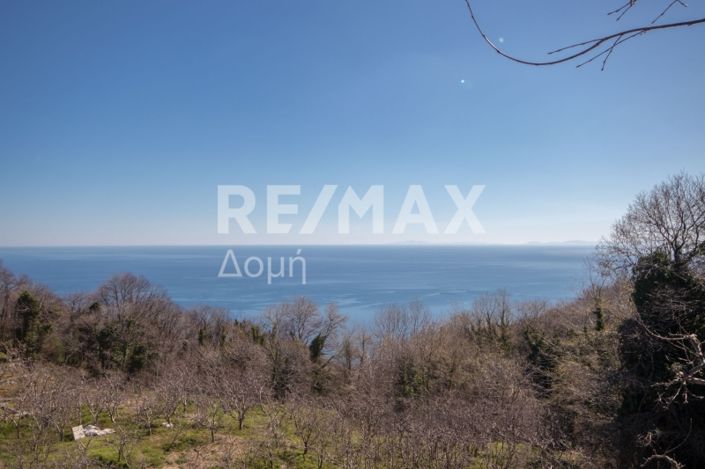 Image No.18-Propriété à vendre à Center