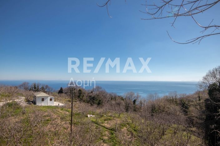 Image No.19-Propriété à vendre à Center