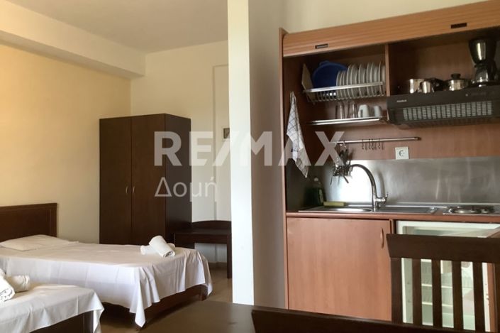 Image No.20-Un hôtel de 10 chambres à vendre à Magnésie