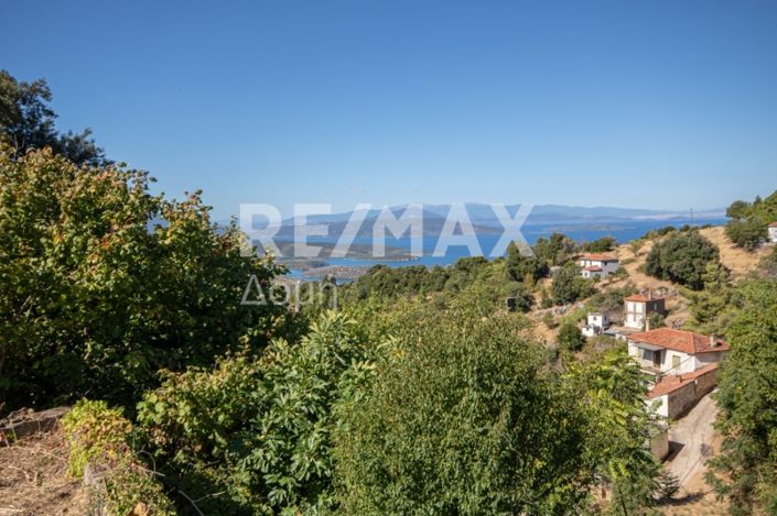 Image No.47-Maison de 2 chambres à vendre à Magnésie