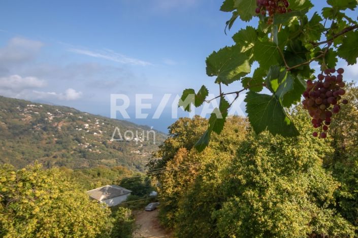 Image No.35-3 Bed House for sale