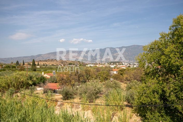 Image No.46-Propriété de 9 chambres à vendre à Magnésie