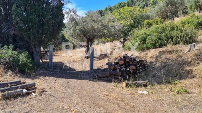 Image No.4-Propriété à vendre à Chora