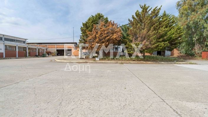 Image No.19-Propriété de 5 chambres à vendre à Magnésie