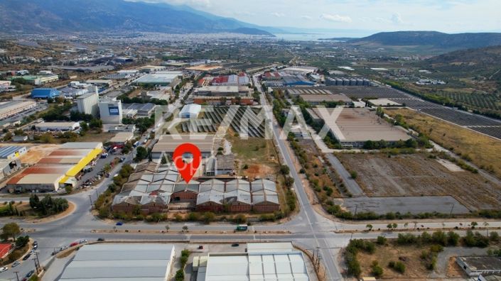 Image No.22-Propriété de 5 chambres à vendre à Magnésie