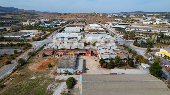 Image No.25-Propriété de 5 chambres à vendre à Magnésie