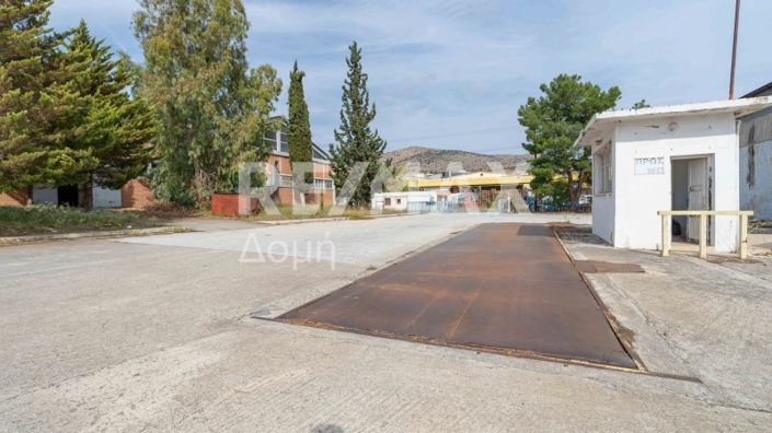 Image No.6-Propriété de 5 chambres à vendre à Magnésie