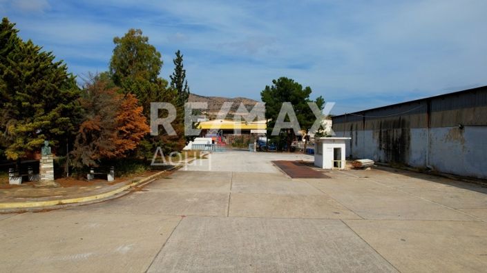 Image No.8-Propriété de 5 chambres à vendre à Magnésie