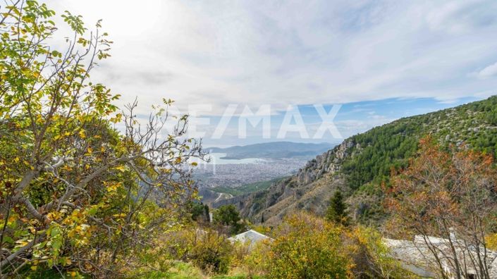 Image No.44-3 Bed House for sale