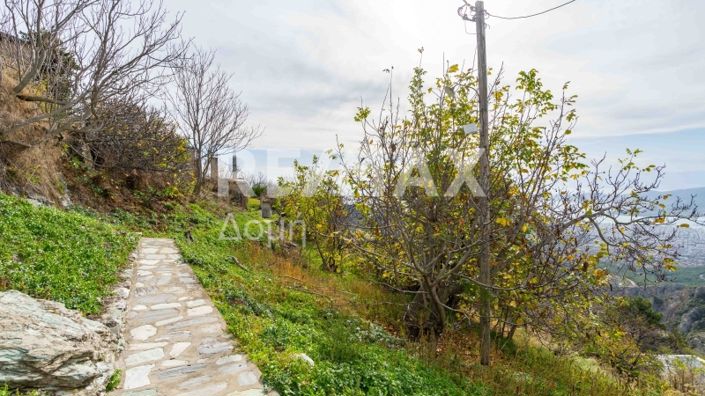 Image No.45-3 Bed House for sale