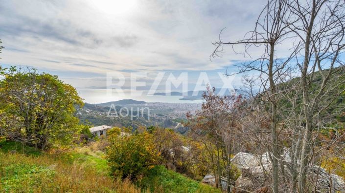 Image No.49-3 Bed House for sale