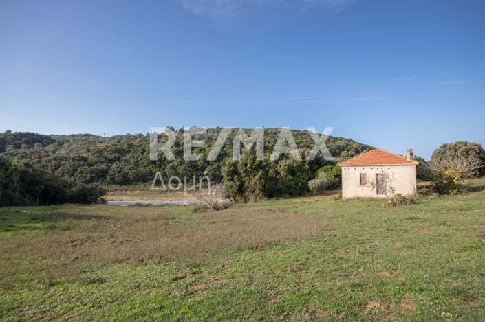 Image No.21-Terre à vendre à Magnésie