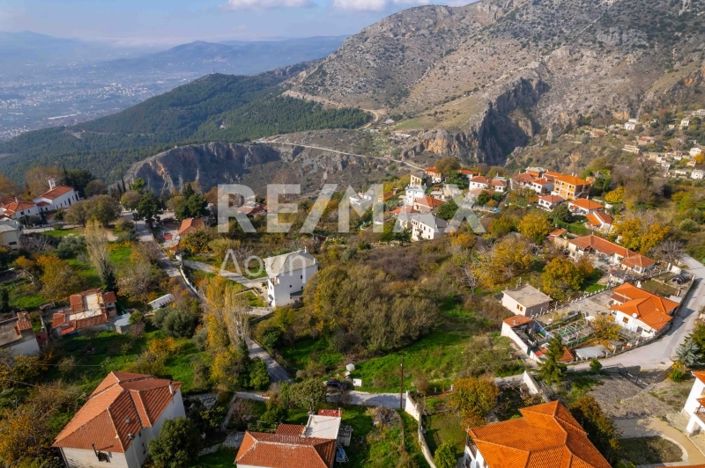 Image No.13-Terre à vendre à Magnésie