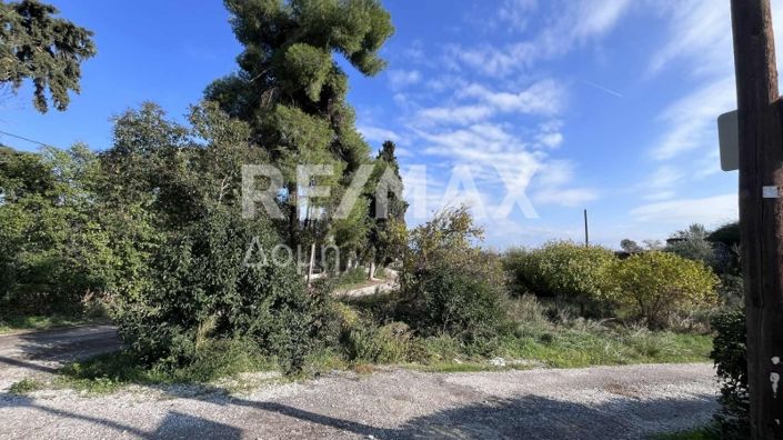 Image No.18-Terre à vendre à Center