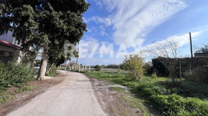 Image No.19-Terre à vendre à Center