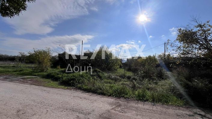 Image No.20-Terre à vendre à Center