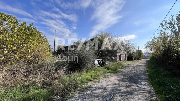 Image No.6-Terre à vendre à Center