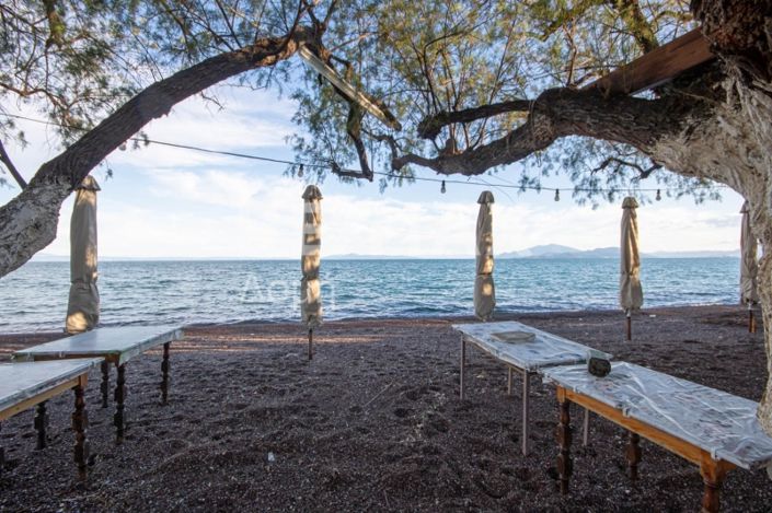 Image No.45-3 Bed House for sale