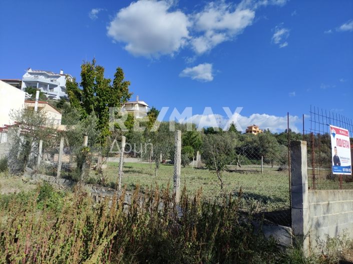 Image No.7-Land for sale