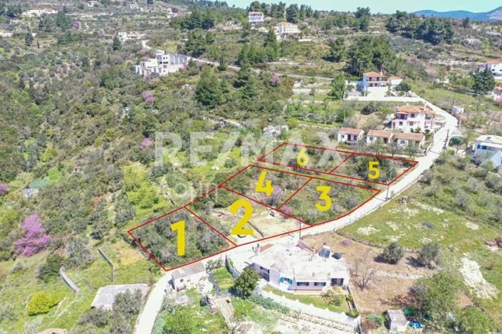 Image No.3-Property for sale