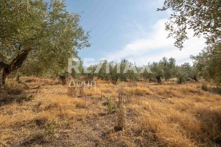 Image No.11-Property for sale