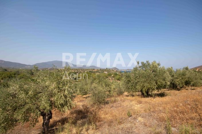 Image No.14-Property for sale