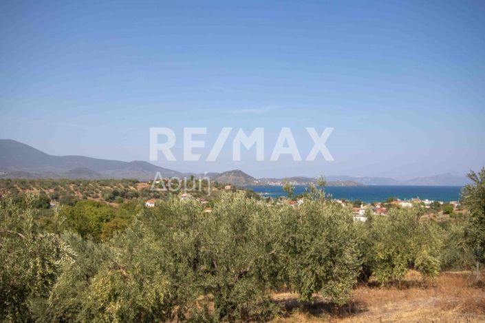 Image No.16-Property for sale