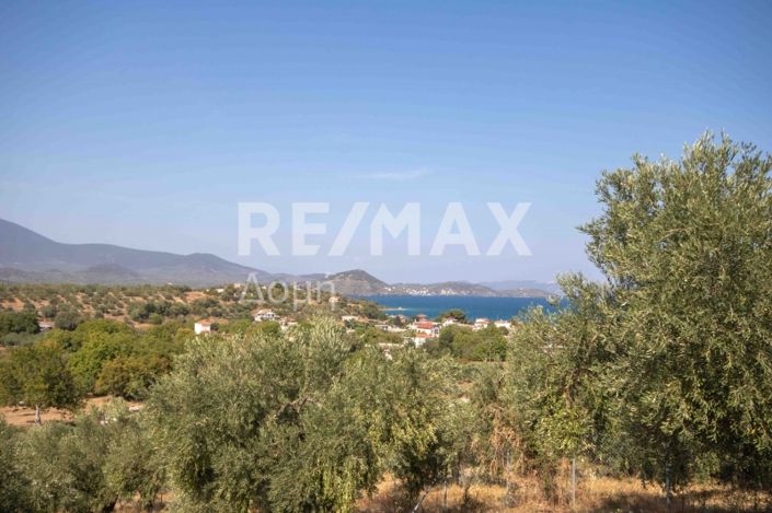 Image No.18-Property for sale