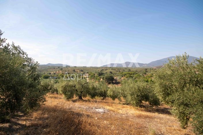 Image No.20-Property for sale