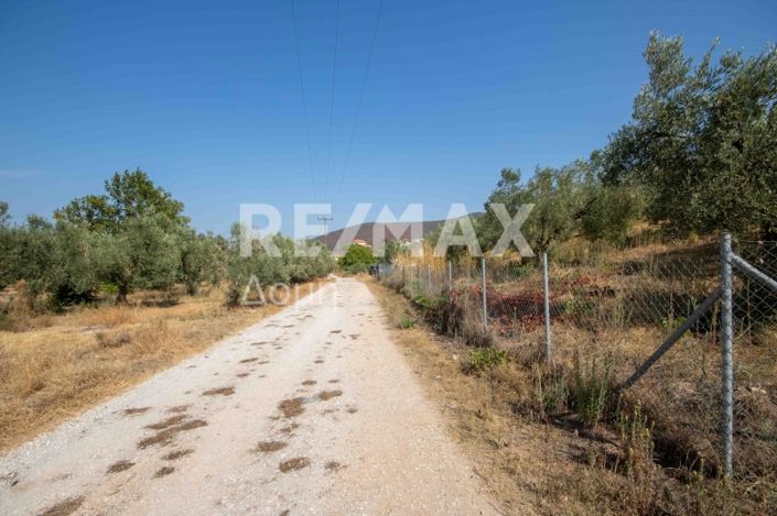 Image No.24-Property for sale