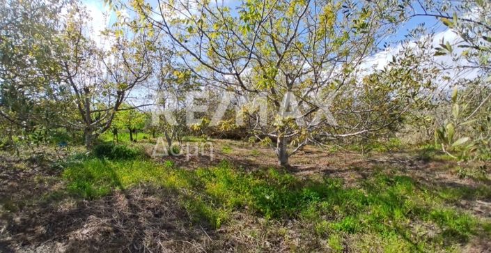 Image No.12-Property for sale