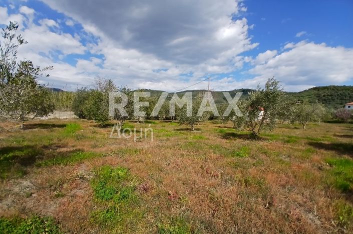 Image No.15-Property for sale