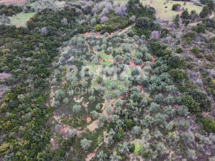 Image No.12-Property for sale