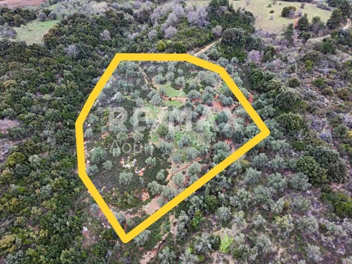 Image No.13-Property for sale