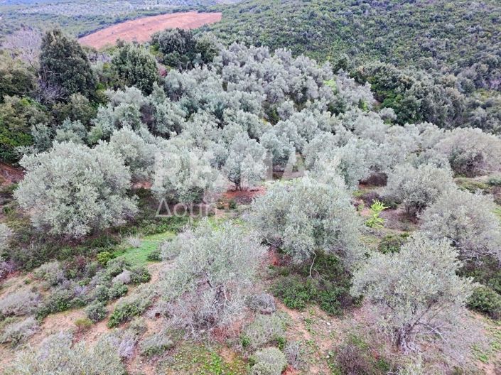 Image No.15-Property for sale