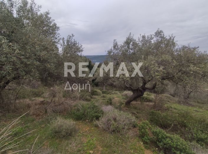 Image No.17-Property for sale