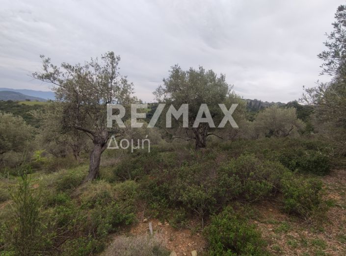 Image No.18-Property for sale