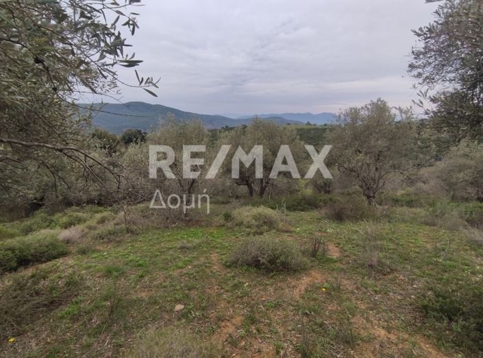 Image No.19-Property for sale