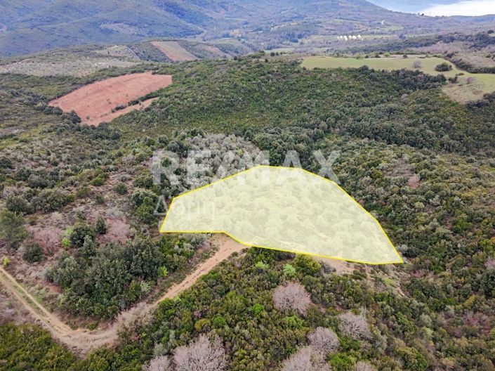 Image No.2-Property for sale