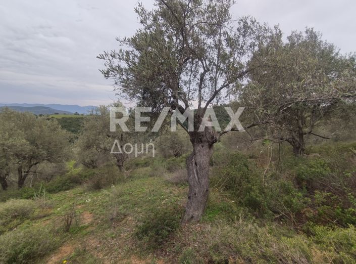 Image No.20-Property for sale