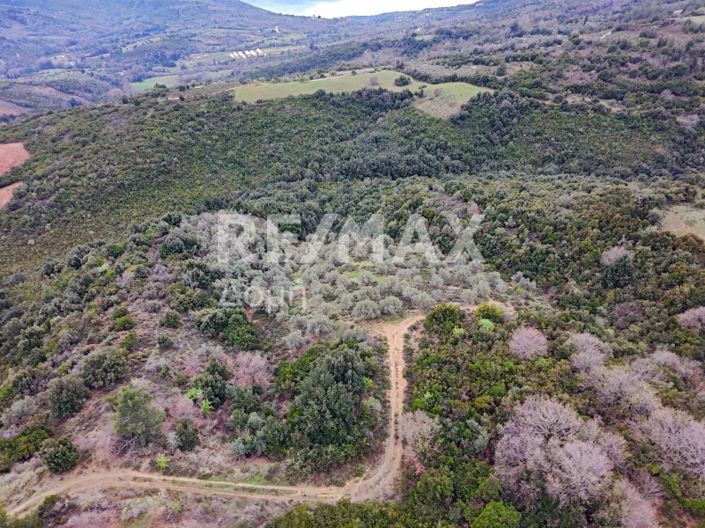 Image No.3-Property for sale