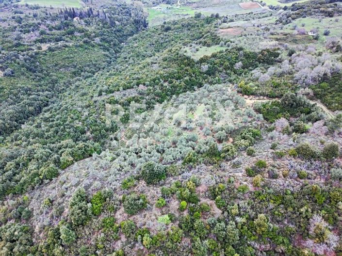 Image No.7-Property for sale