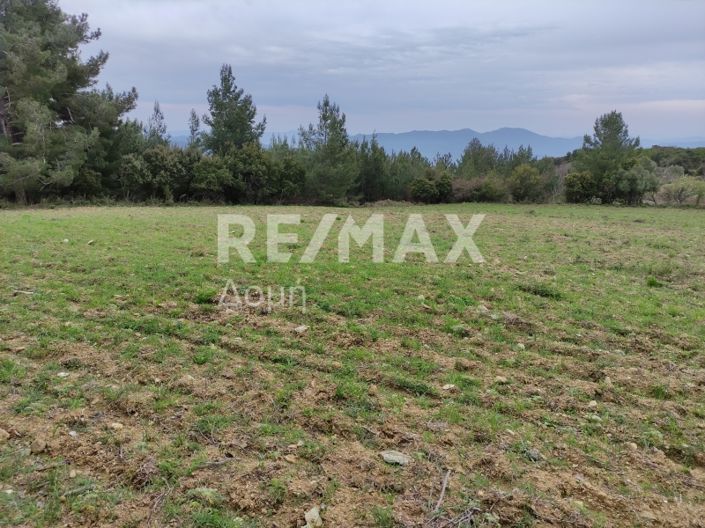 Image No.14-Propriété à vendre à Magnésie