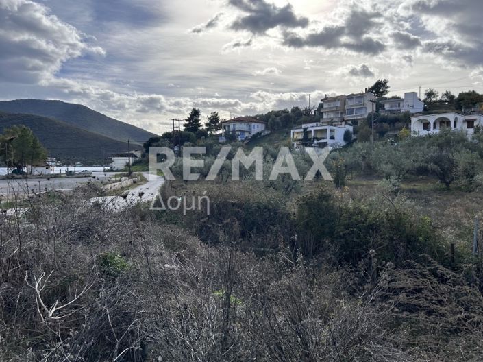 Image No.11-Land for sale