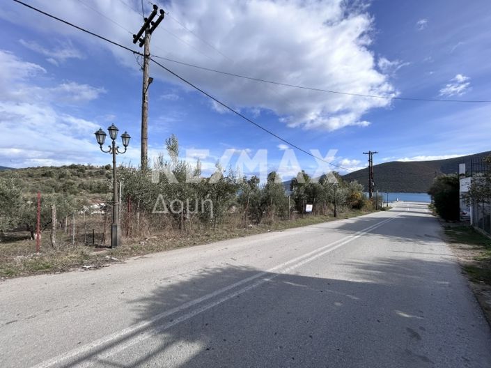 Image No.3-Land for sale