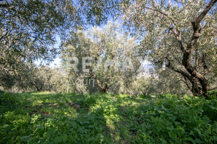 Image No.11-Propriété à vendre à Magnésie