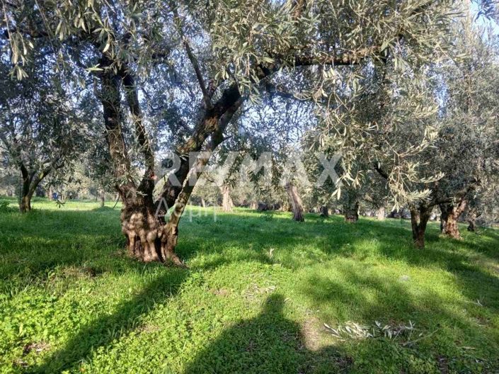 Image No.12-Property for sale